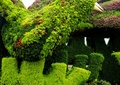 植物雕塑,草坪雕塑,绿雕