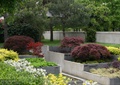 层叠式花池,种植池,景观植物,矮墙