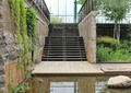 台阶,挡墙,栏杆,景观水池,藤蔓植物