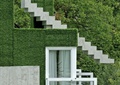 住宅建筑,窗子,楼梯,垂直绿化,植物