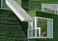 住宅建筑,楼梯,窗子,垂直绿化,植物