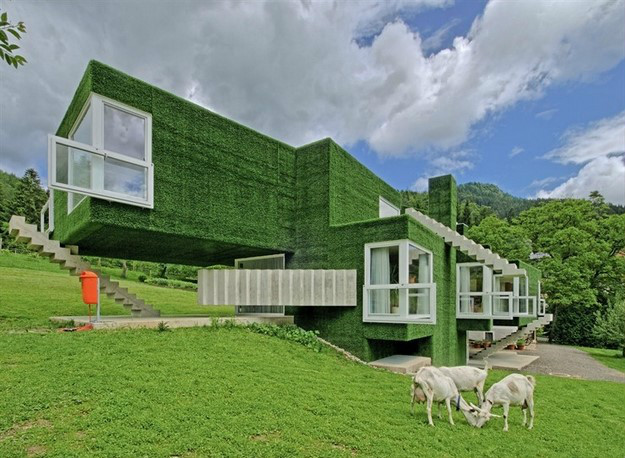 住宅建筑,垂直绿化,楼梯,窗子,羊