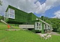 住宅建筑,垂直绿化,楼梯,窗子,羊