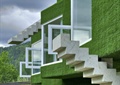 垂直绿化,楼梯,玻璃窗