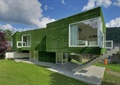 住宅建筑,垂直绿化,草坪,楼梯