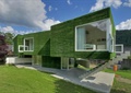 住宅建筑,垂直绿化,楼梯,窗子