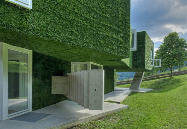 垂直绿化,草坪,楼梯