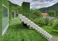 楼梯,草坪,植物