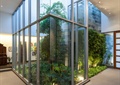 庭院景观,玻璃墙,植物