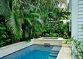 庭院景观,游泳池,水池壁,植物