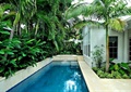 庭院景观,游泳池,植物,游泳池壁