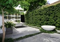 植物墙,垂直绿化,水钵,地面铺装,庭院景观