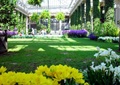 温室大棚,草坪,花卉植物,藤蔓植物,植物柱