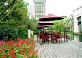 住宅景观,木平台,桌椅,遮阳伞,花卉植物