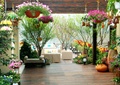 庭院景观,吊盆景,花钵,花卉,景观植物,木板铺装,坐凳