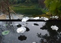 荷花池,荷花雕塑,景观水池