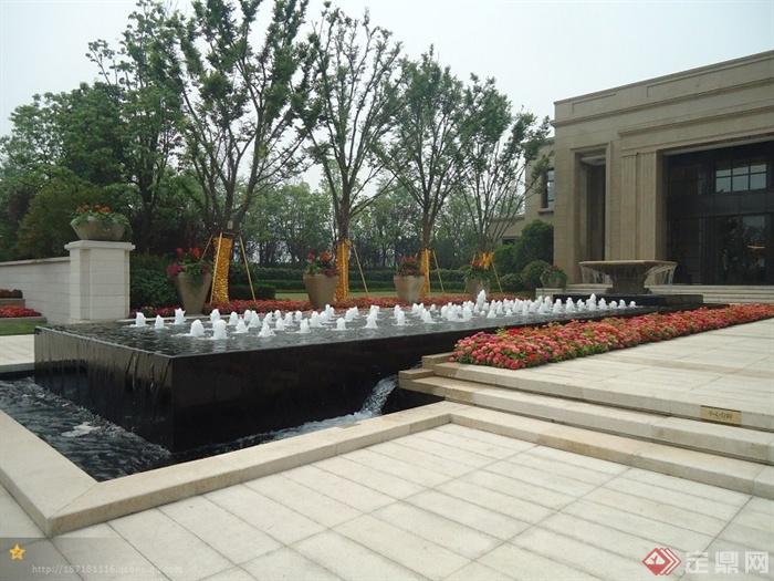 喷泉水景,花卉植物,台阶,地面铺装,花钵,植物