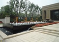 喷泉水景,花卉植物,台阶,地面铺装,花钵,植物