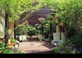 庭院景观,地面铺装,廊架,绿植