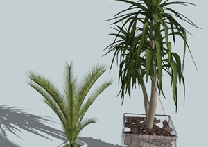 室内庭院盆栽植物设计SU(草图大师)模型
