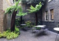 庭院景观,桌椅,地面铺装,乔木植物