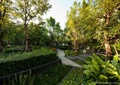 花园,花园景观,园路铺装,树池,平台,植配设计