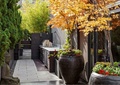 花钵,庭院景观,花园厨房,垂直绿化