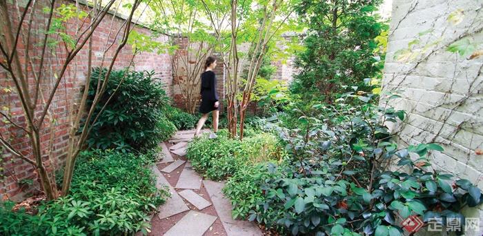 庭院景观,小径,碎拼铺装,常绿灌木,红砖围墙