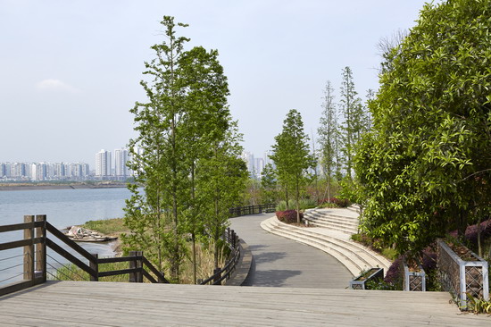 滨水公园,台阶,绿化景观,景观植物