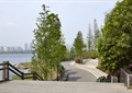 滨水公园,台阶,绿化景观,景观植物