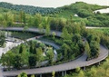 湿地公园,栈桥,生态公园,景观植物