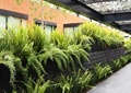 植物墙,廊架,绿植,石材铺装