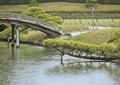 圆拱桥,水景,植物