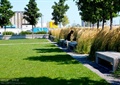 草坪,坐凳,公园景观,植配设计
