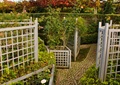 栅栏,地面铺装,绿植,植物墙