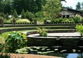 水生植物,景观水池,层叠式草坪