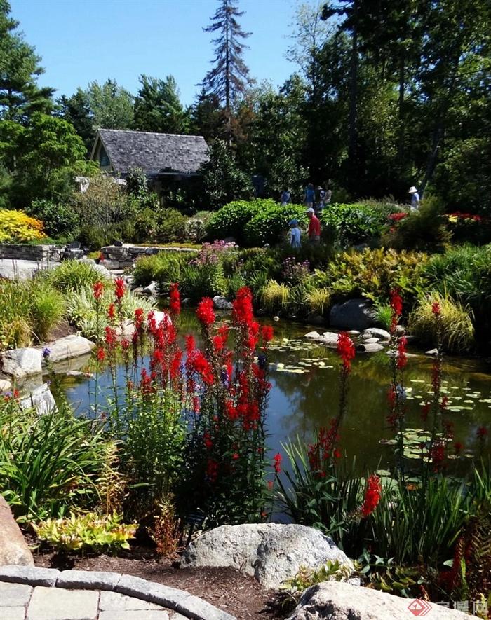 植物园,植物园景观,水池,驳岸一串红