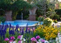 游泳池,廊架,植物墙,花卉植物