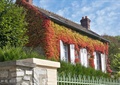 植物墙,垂直绿化,住宅建筑,石砌墙,观赏草