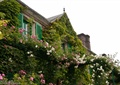 花架,植物墙,垂直绿化