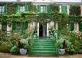 台阶,植物墙,垂直绿化,盆栽,绿植