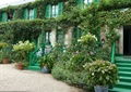 盆栽,植物墙,垂直绿化,台阶