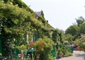 植物墙,垂直绿化,花园,绿植