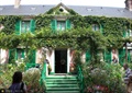 植物墙,垂直绿化,台阶,绿植