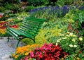 座椅,园椅,花卉,景观植物