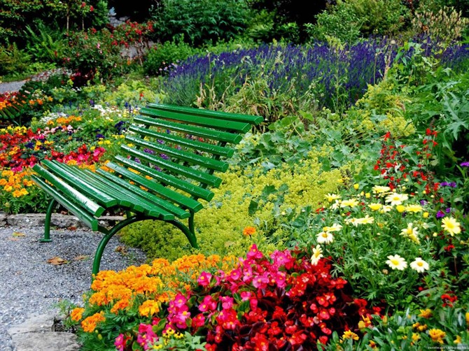 座椅,园椅,花卉,景观植物菊花,万寿菊,雏菊