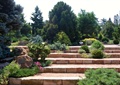 台阶,景石,灌木植物,乔木