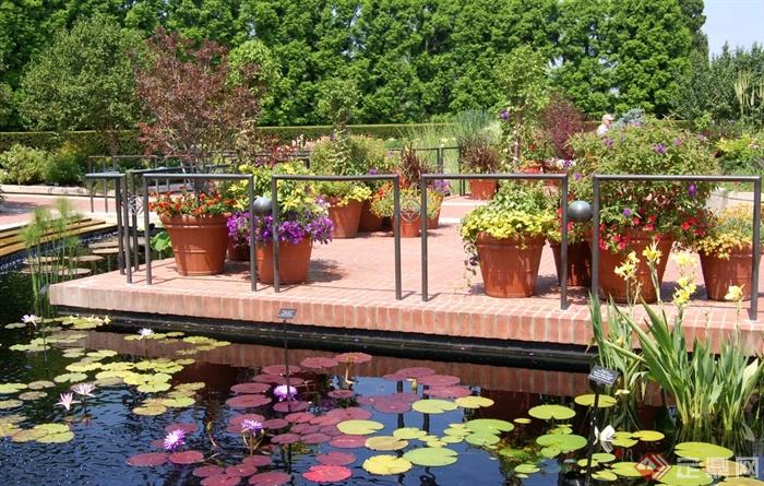 平台,栏杆,花钵,花卉植物,水生植物,水景睡莲