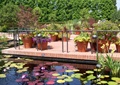 平台,栏杆,花钵,花卉植物,水生植物,水景