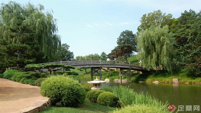 桥,水景,灌木植物,园路